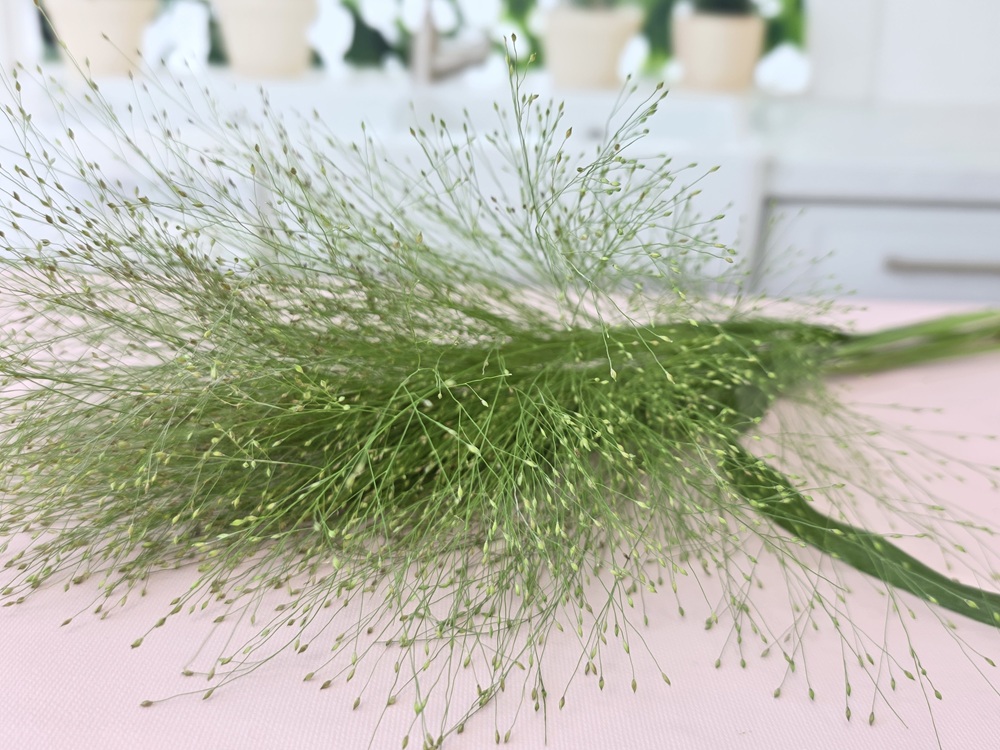 유스풀몰 페니쿰 생화 꽃 택배 꽃배달 싼곳 이미지 3