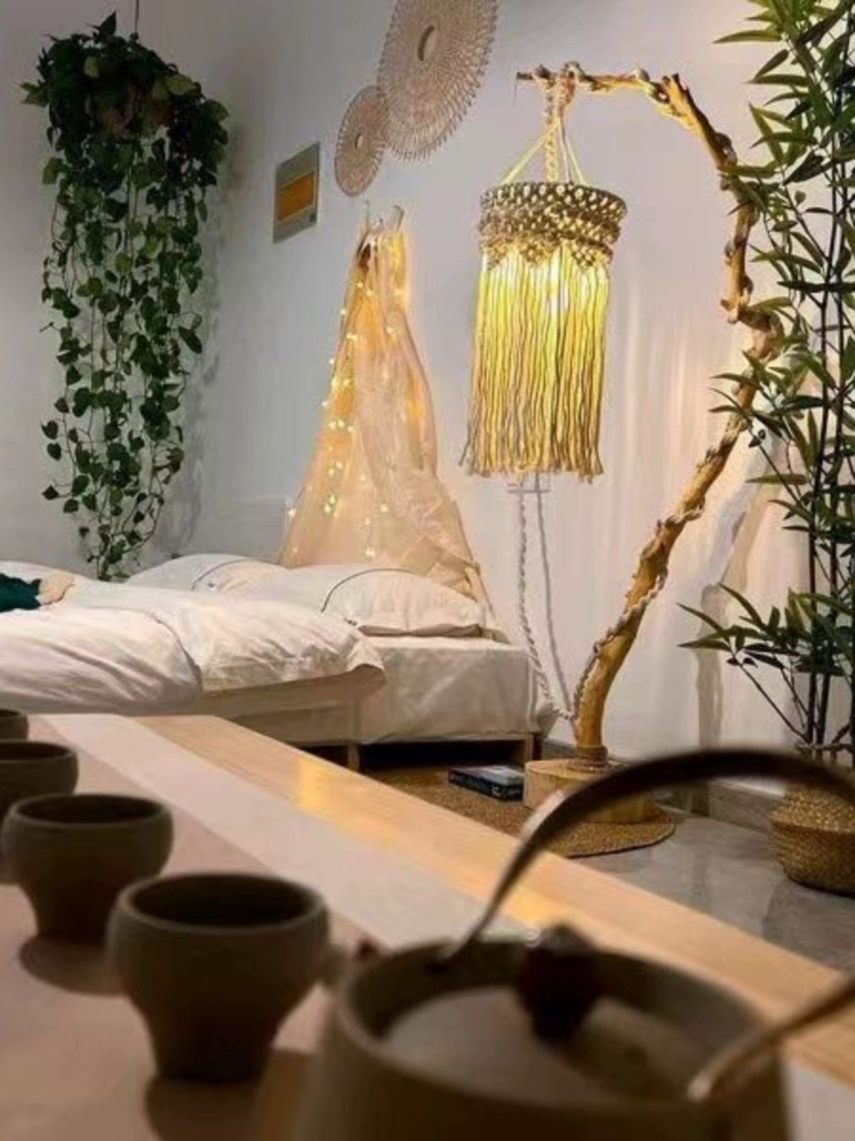 앵무새 횃대 나무 금화조 자연목 새집 사다리 높이 70cm 70cm - 상세 이미지 5