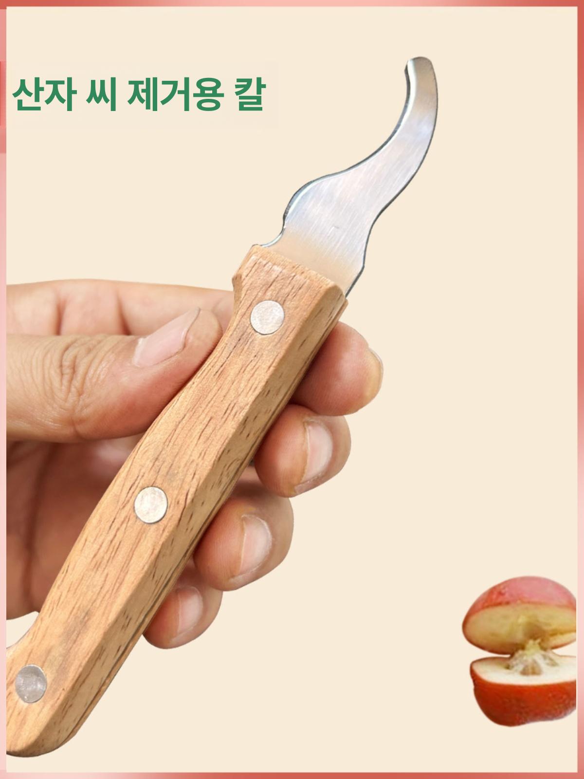 제거기 도구 탕후루 씨분리기 빼는 플라이어 대추씨 건대추 까는 매실 펀칭기 구형 씨앗 제거 칼 - 상세 이미지 2