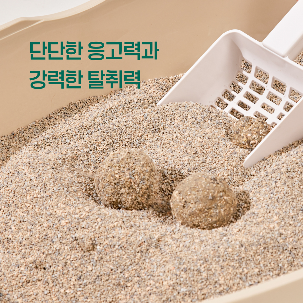 펫츠놀로지 고양이 편백 하이브리드 샌드 응고형 벤토나이트 6kg, 2개 - 상세 이미지 4
