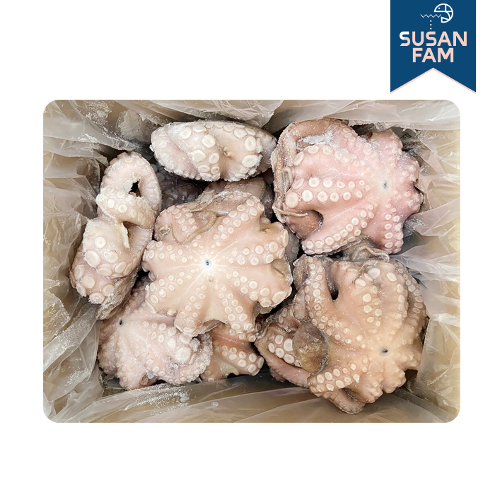 세척 문어 5Kg 손질 냉동문어 생문어 홀클린 돌문어 참문어 업소용 모리타니아 세네갈 - 상세 이미지 5
