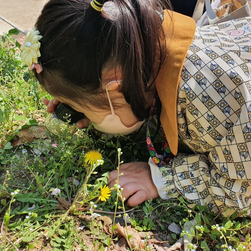 [최대6인] 재미가득 숲 탐험대 | 프라이빗 | 서울,경기,대전,부산 by 숲파티포레 이미지 6