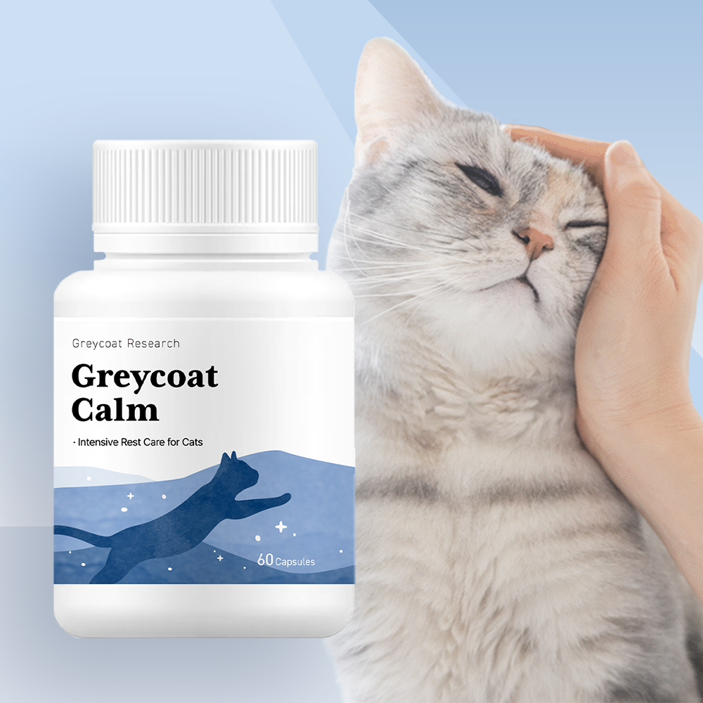 야옹섬 고양이 영양제 심장 신장 그레이코트캄 HCM 신부전 관리 2개월 ... 솔직 후기 | 실제 사용자 리뷰 총정리 - 대표 이미지