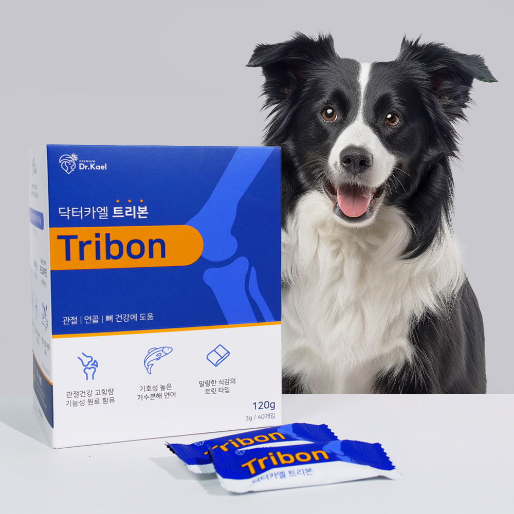 닥터카엘 트리본 강아지 관절 영양제 반려견 애견 노령견 슬개골 탈골 연골 120g, 1개