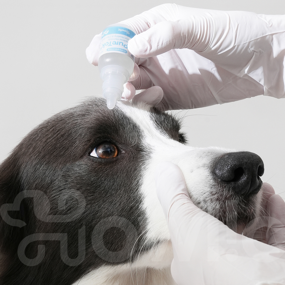 (2개구성)퓨어톡 강아지 고양이 애견 눈 염증 충혈 눈물자국 눈꼽 개선 안구 약 20ml - 메인 이미지