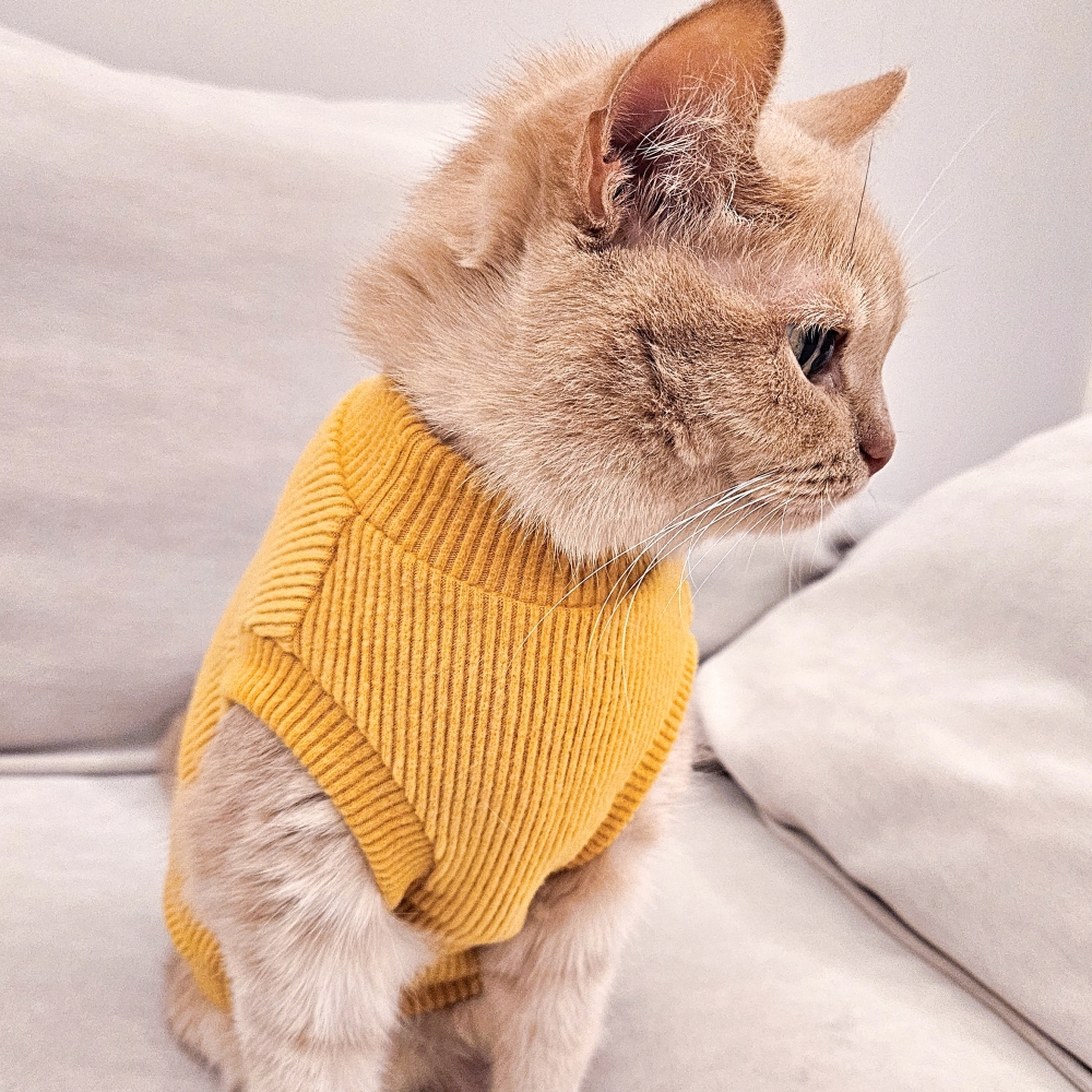 고양이옷 겨울 실내복 포근하고 따뜻한 기본 크롭 기모 골지 니트