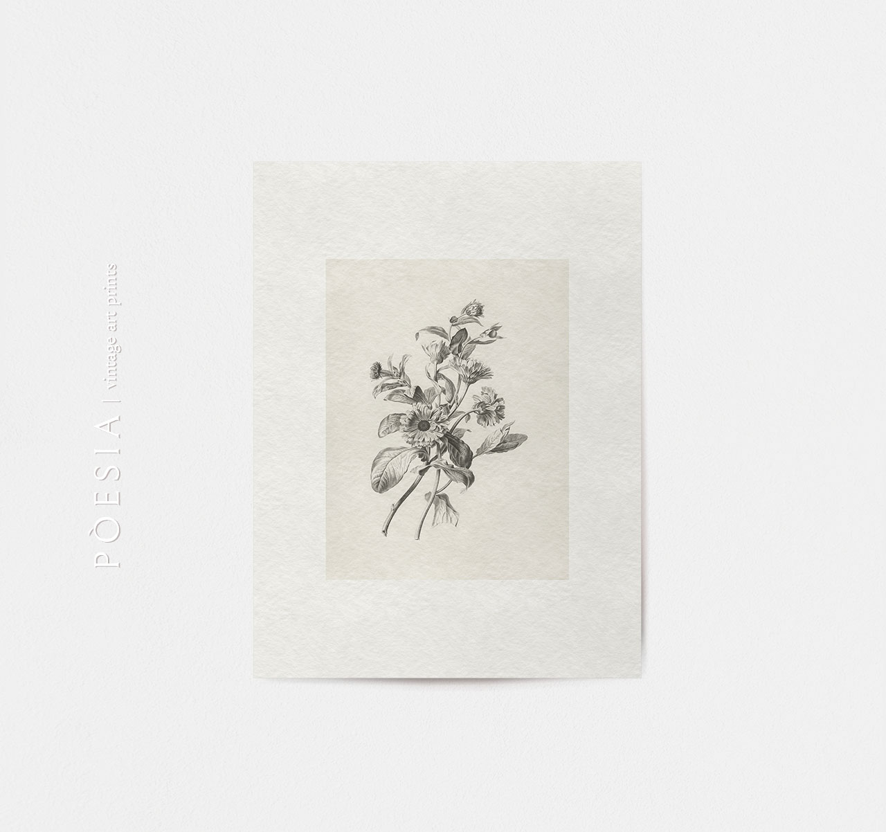 [피에르 프랑수아 르그랑] Souci des Jardins 포스터 지클리 프린트 - 상세 이미지 2