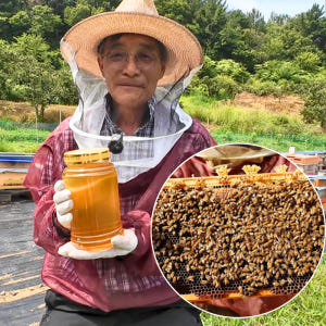산지한입 천연벌꿀 아카시아꿀 아카시꿀 잡화 야생화 국산 선물 숙성 완숙 ... 맛있게 먹은 솔직 후기 - 상품 이미지 1