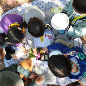 [3회 패키지+숲가방 증정] 용산 상암 송파 어린이 봄 숲체험 유아 초등... 솔직 후기 | 실사용자 리뷰 분석 - 상품 이미지 3