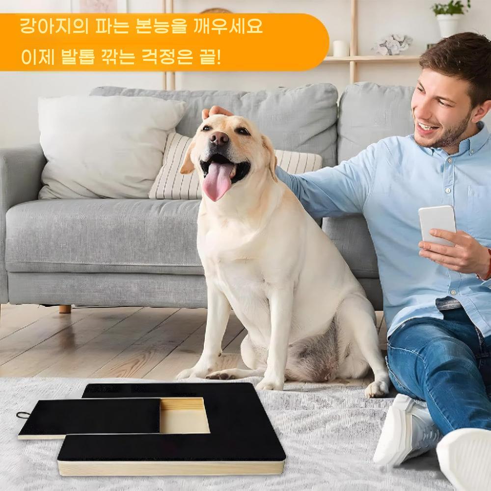 강아지 발톱 스크래쳐 사포 보드 갈이 다듬기 별도 발톱사포 갈이판 네일 애견 발톱깎이 - 상세 이미지 3