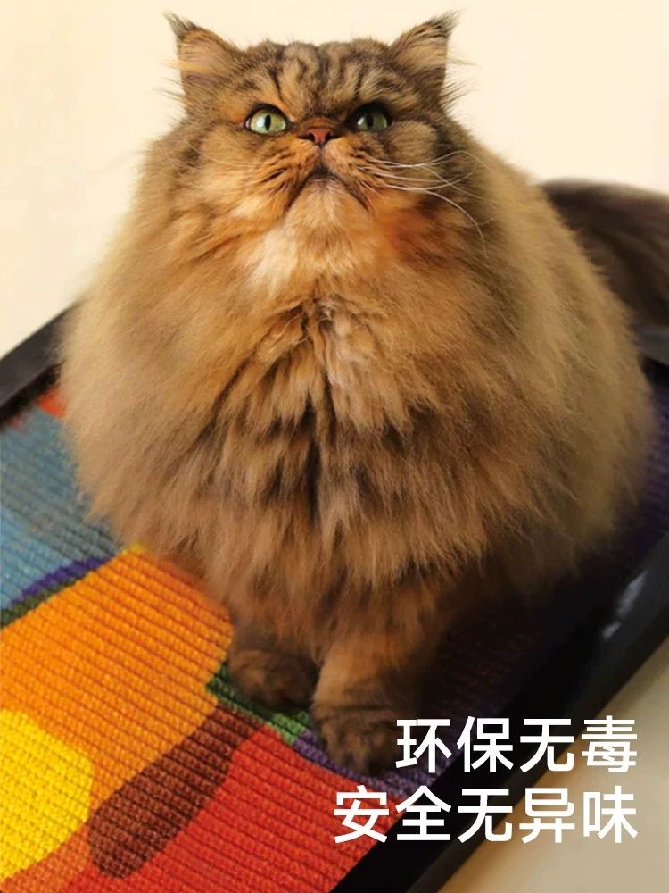 솔비에 고양이 스크래쳐 카페트형 스크래퍼 캣타워 장난감 프레임 없는 40cmx60cm - 상세 이미지 5