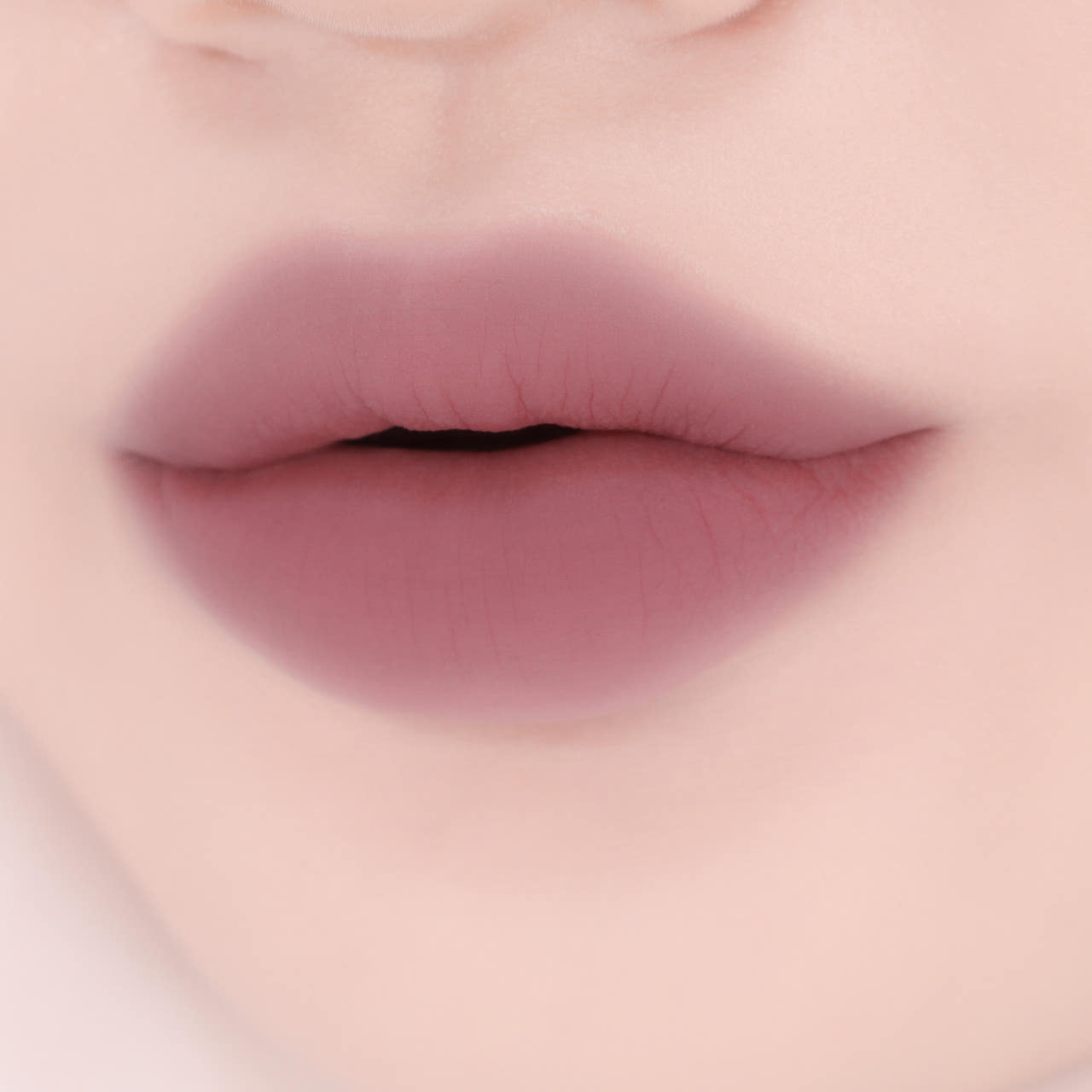 먼지나방 퍼스널컬러 틴트 모렛 셔터 핏 틴트 이미지 6