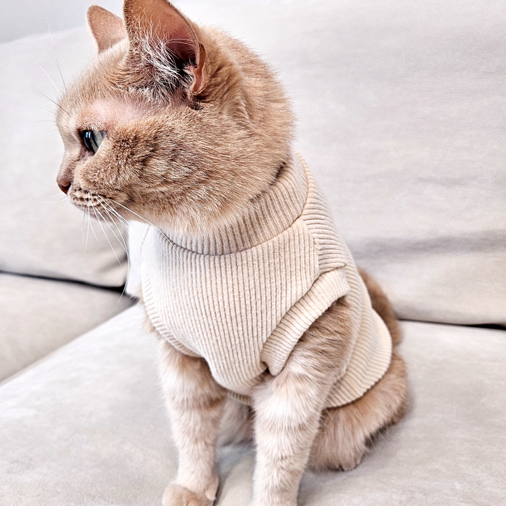 고양이옷 겨울 실내복 포근하고 따뜻한 기본 크롭 기모 골지 니트