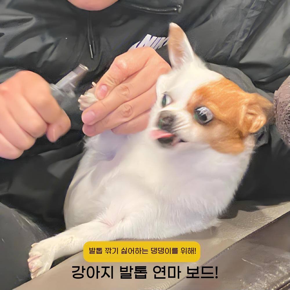 강아지 발톱 스크래쳐 사포 보드 갈이 다듬기 별도 발톱사포 갈이판 네일 애견 발톱깎이 - 상세 이미지 5