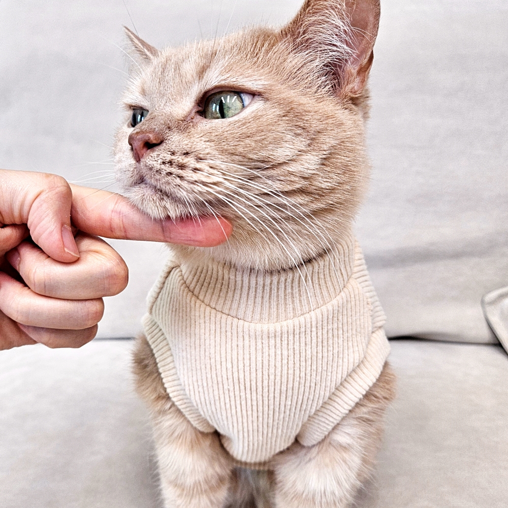 고양이옷 겨울 실내복 포근하고 따뜻한 기본 크롭 기모 골지 니트