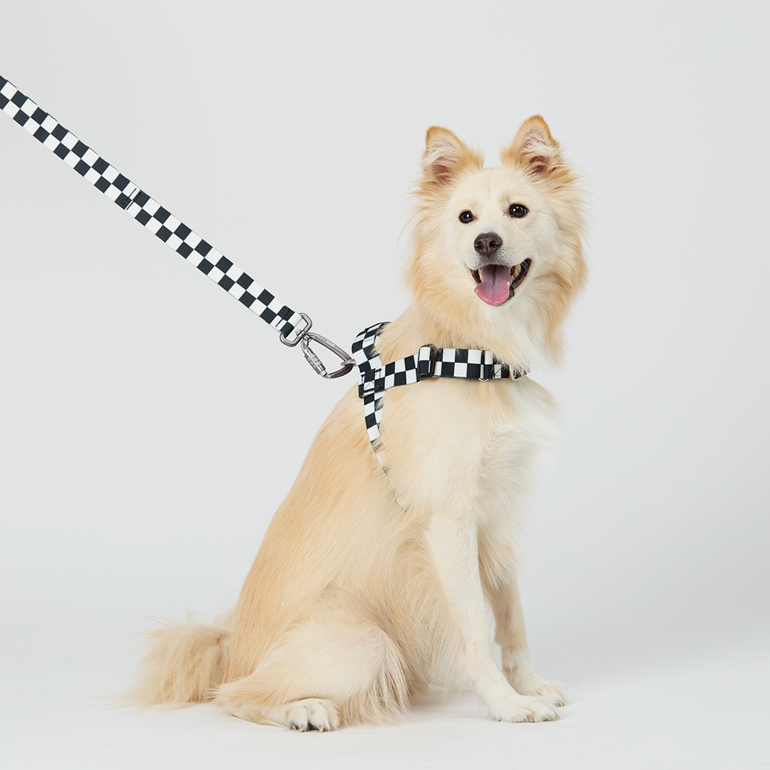 일로 맥스 하네스 (L형) 중형견 대형견 텐텐, L