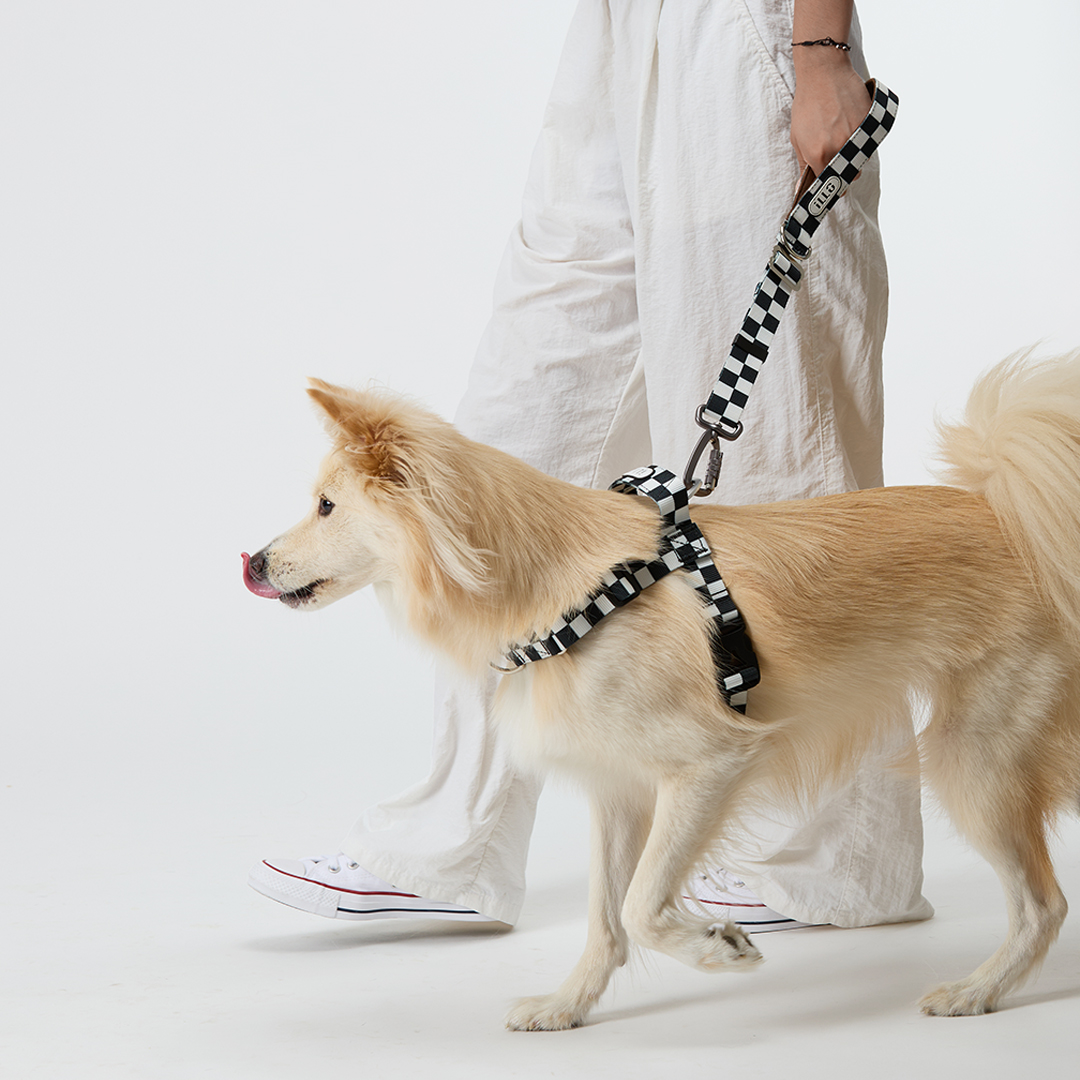 일로 맥스 하네스 (L형) 중형견 대형견 텐텐, L