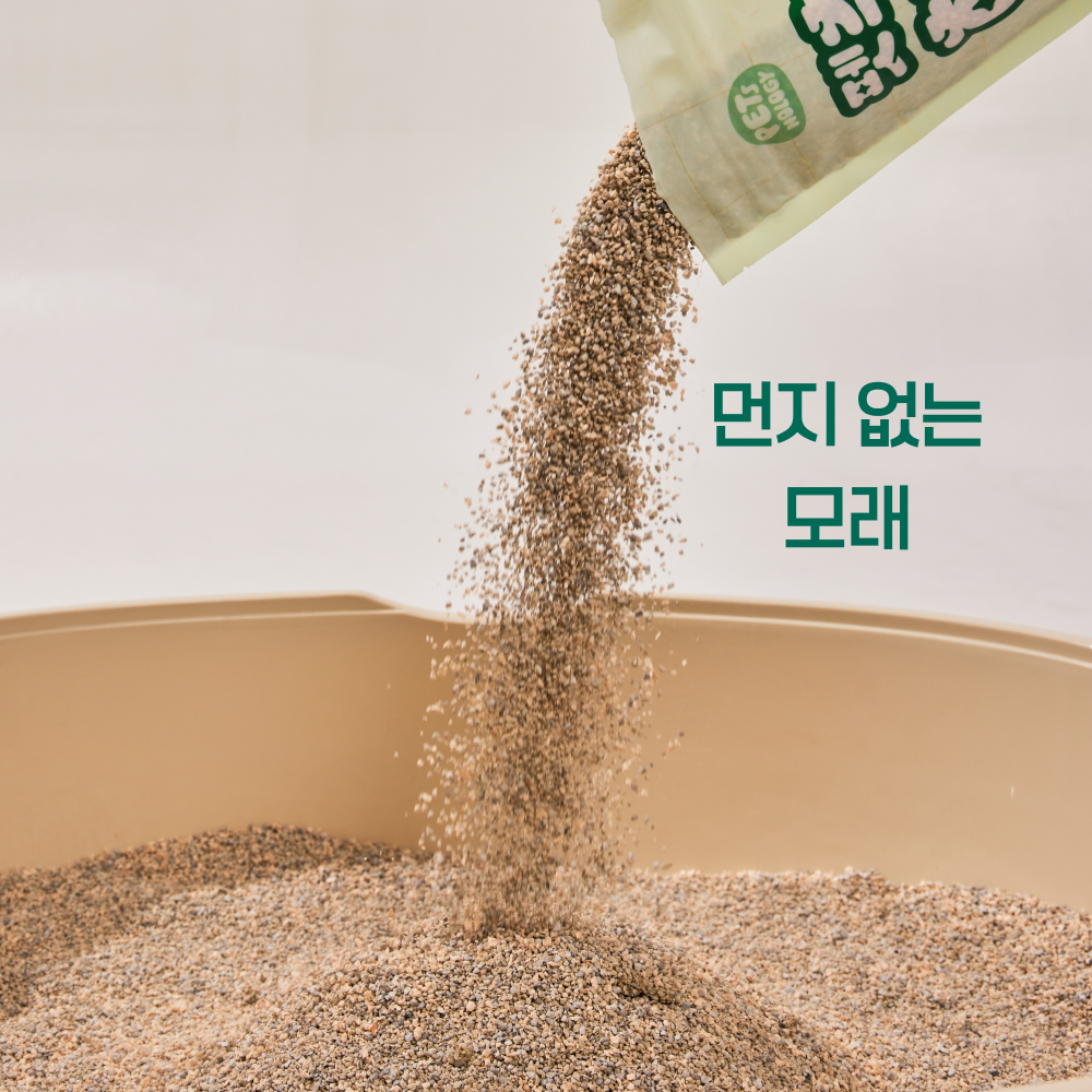 펫츠놀로지 고양이 편백 하이브리드 샌드 응고형 벤토나이트 6kg, 2개 - 상세 이미지 3