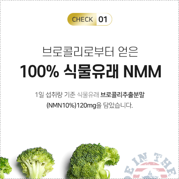 뉴일리 엔엠엔 NMN 브로콜리 3통 MNM 엔앰엔 앤엠앤 NMM NNM - 상세 이미지 2