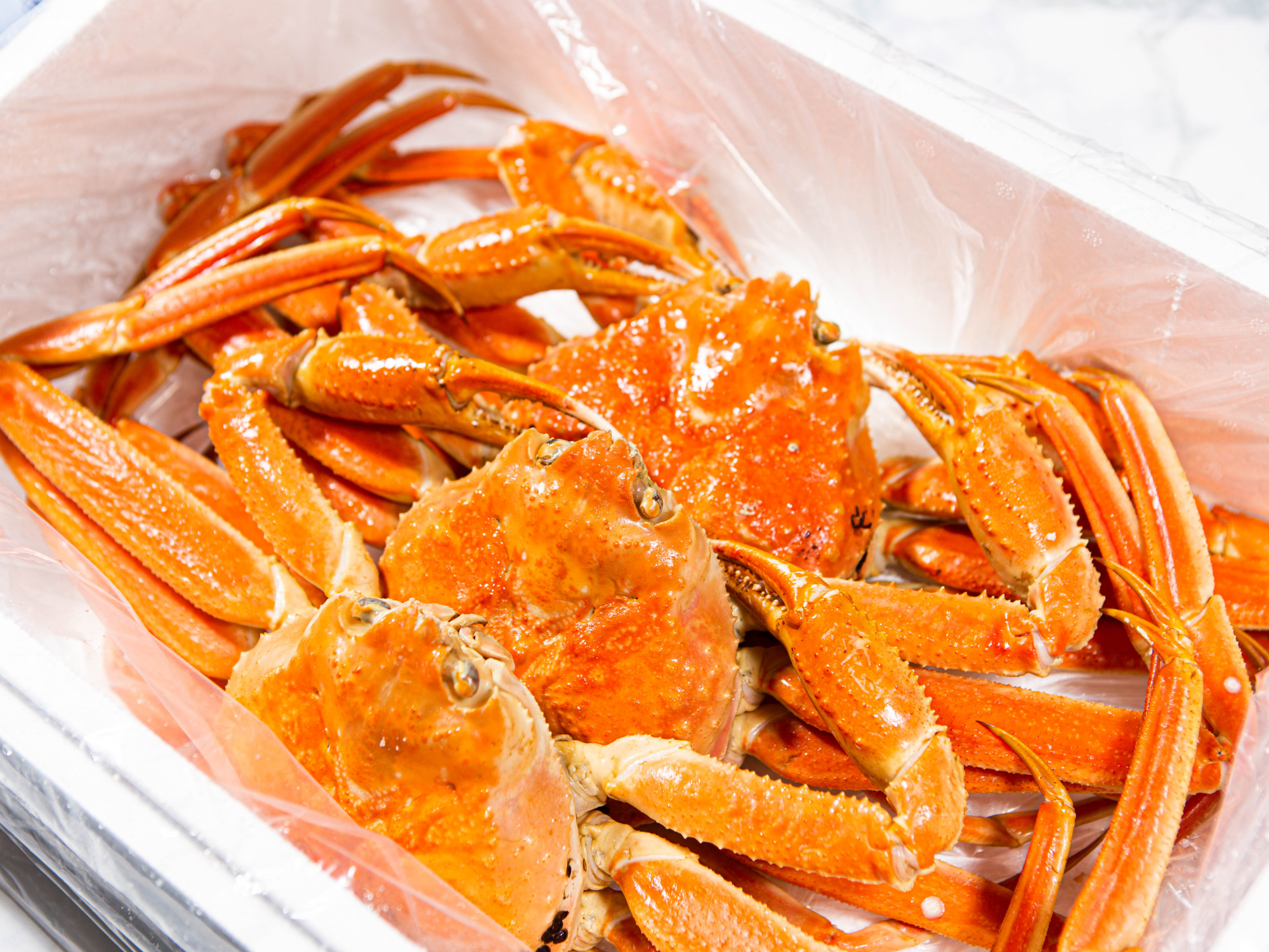 자숙 대게 쪄서와 바로먹는 5.001kg, 1개 - 메인 이미지