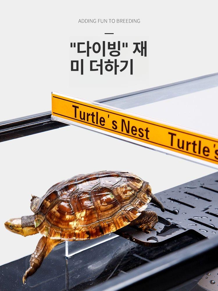 대형 아크릴 수조 거북이 플라스틱 사육장 열대어 어항 40cm 세트 4 11개세트 - 상세 이미지 3