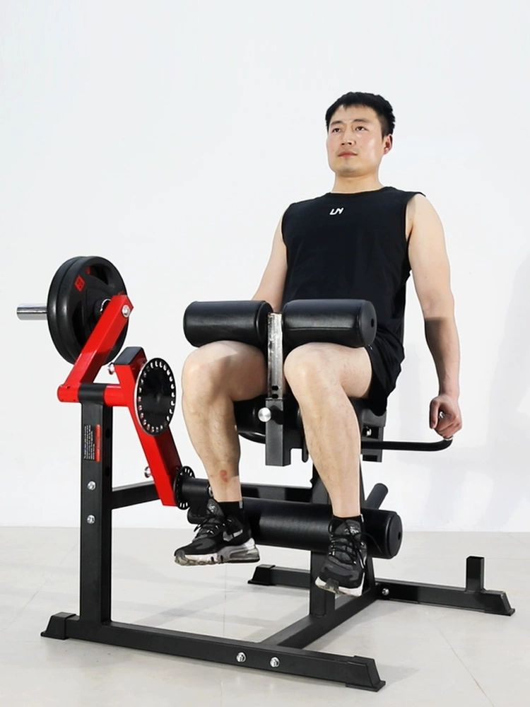 컬 레그익스텐션 머신 각도 가정용 비스펙 덤벨 운동기구 허벅지 강화 굴곡 사두근 베어메탈 다리 근육 트레이너 기계만 - 상세 이미지 4
