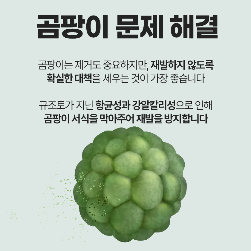 자연숨규조토 결로방지페인트 베란다 곰팡이 벽지 셀프 항균 단열 친환경 2.5kg - 상세 이미지 5