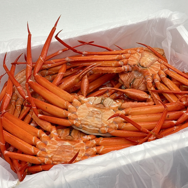 후포리 홍게 생물 자숙 제철 박달 대게 홍게