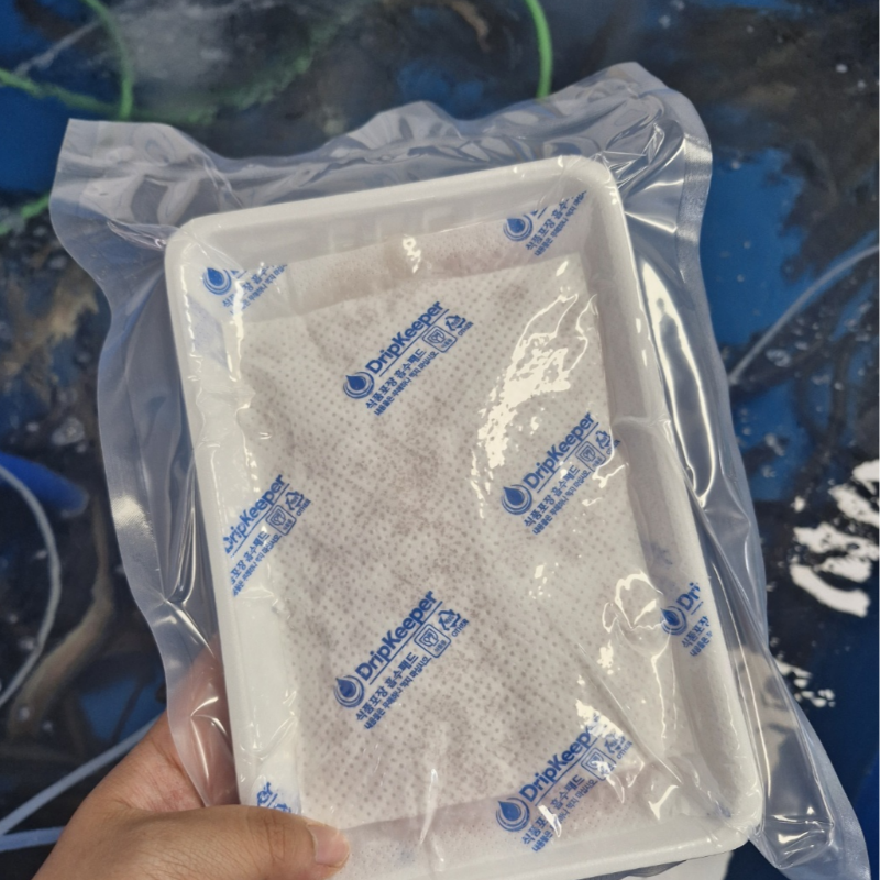 자연가득 갯장어 하모 순살 회 손질후 600g (3-4미) 실속형 하모회 300g-500g - 상세 이미지 4