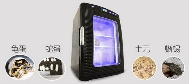도마뱀 거북이 인큐베이터 보온 냉각 사육 부화상자 파충류알 - 상세 이미지 3