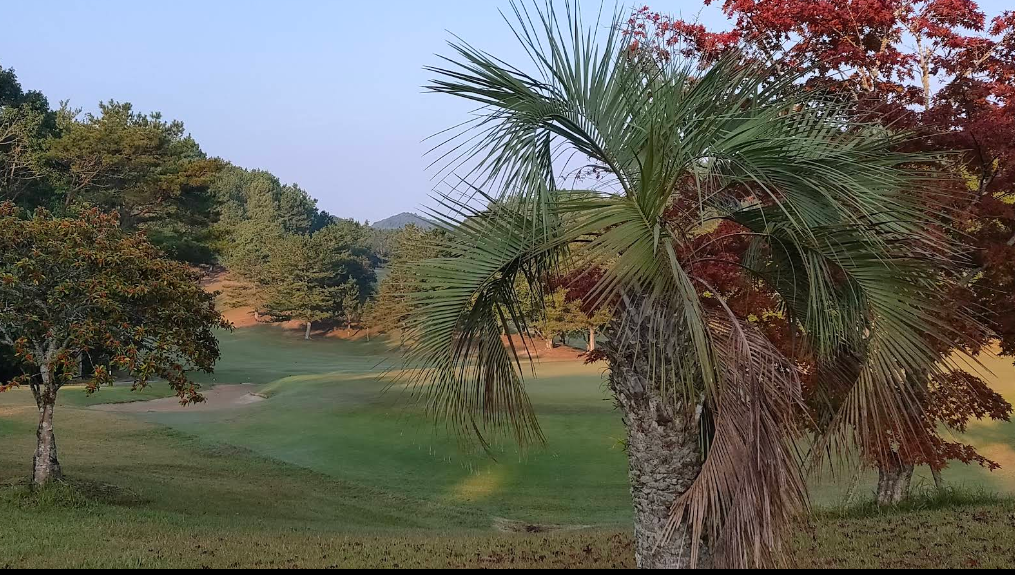 [일본골프여행]  후쿠오카우레시노 이마리시내3색골프3일 1인1실사용 일본온천여행