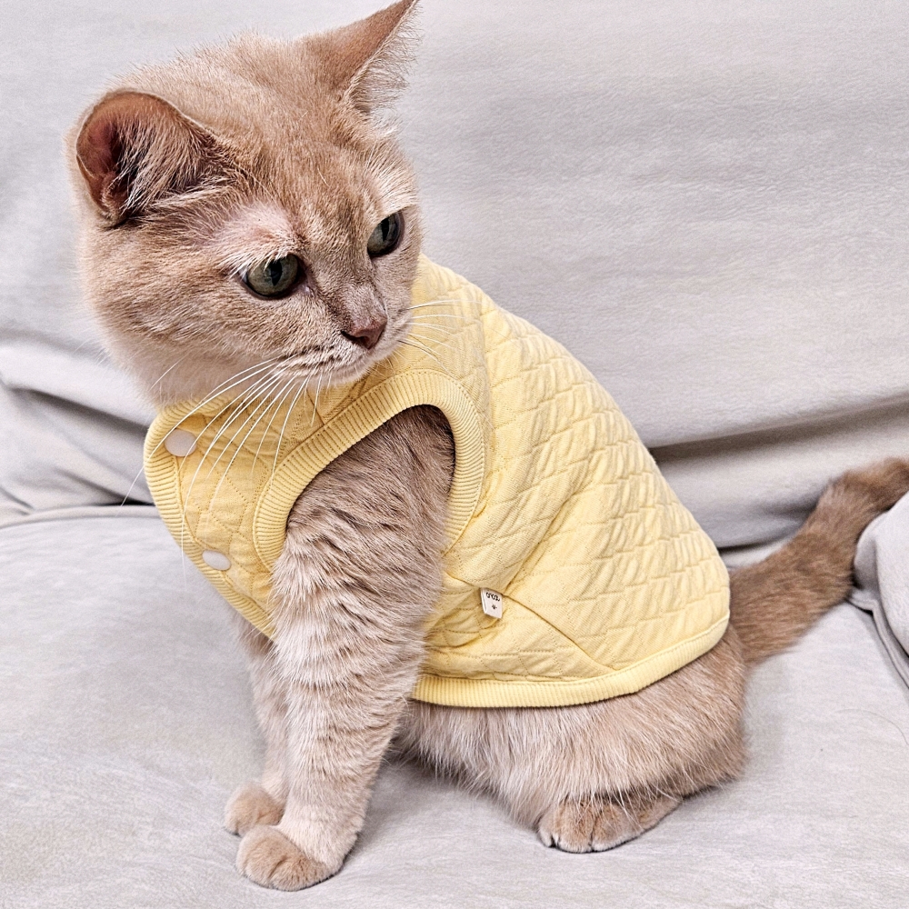 고양이 옷 고양이전용 편한 누빔조끼 마카롱 깔깔이 - 상세 이미지 2