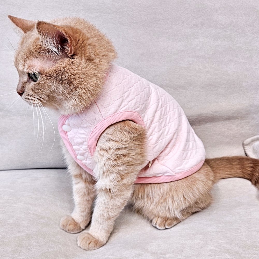 고양이 옷 고양이전용 편한 누빔조끼 마카롱 깔깔이 - 상세 이미지 4