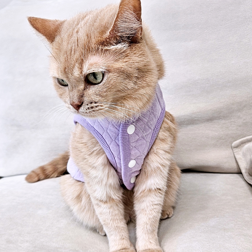 고양이 옷 고양이전용 편한 누빔조끼 마카롱 깔깔이 - 상세 이미지 5