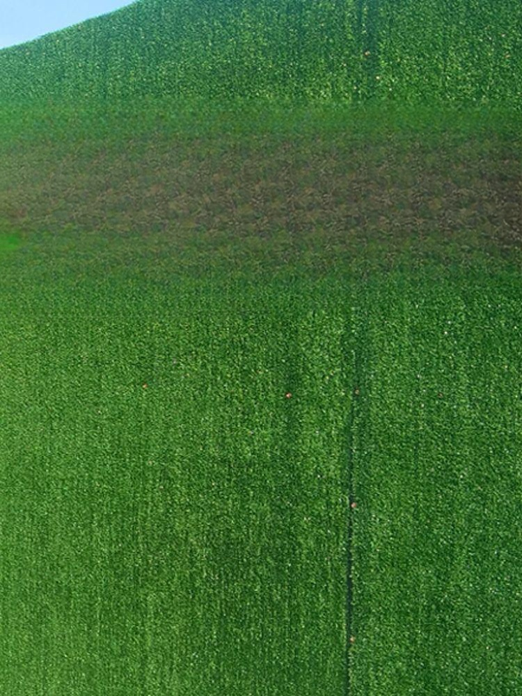 인조잔디 매트 테라스 건축용 가림막 잔디 인테리어 옥상 셀프시공 외부 시선 차단 2x25m 1cm 특별가-임시 펜스 - 상품 이미지
