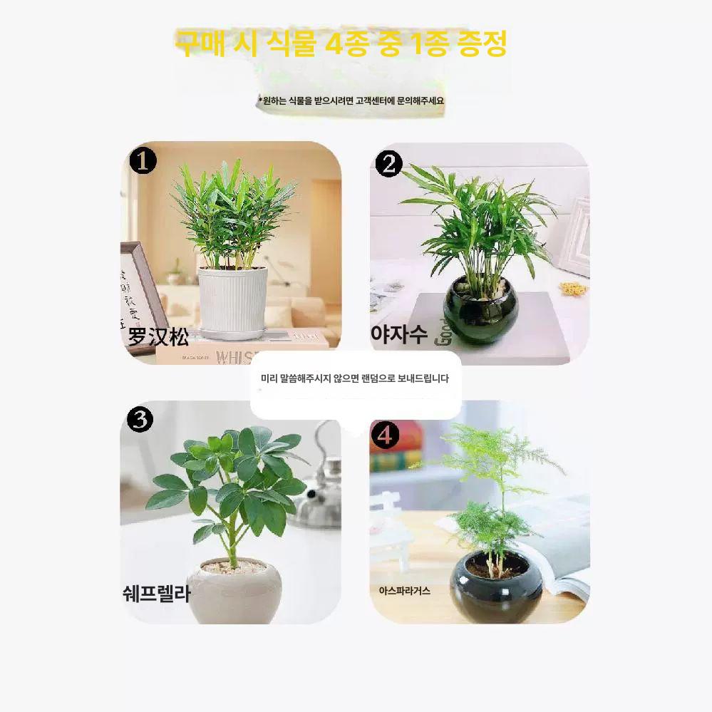 360도 회전 화분 공중부양 대리석 자기부상 무중력 플랜트 장식품 공중에뜨는 플로팅 다크 우드 그레인 - 상세 이미지 3