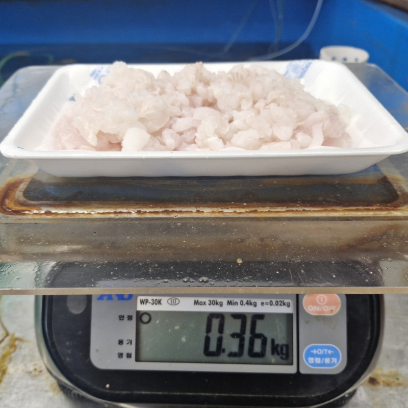 자연가득 갯장어 하모 순살 회 손질후 600g (3-4미) 실속형 하모회 300g-500g - 상세 이미지 5