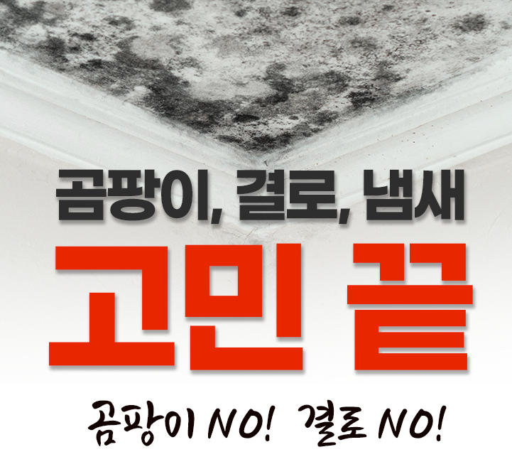 자연숨규조토 결로방지페인트 베란다 곰팡이 벽지 셀프 항균 단열 친환경 2.5kg - 상세 이미지 4