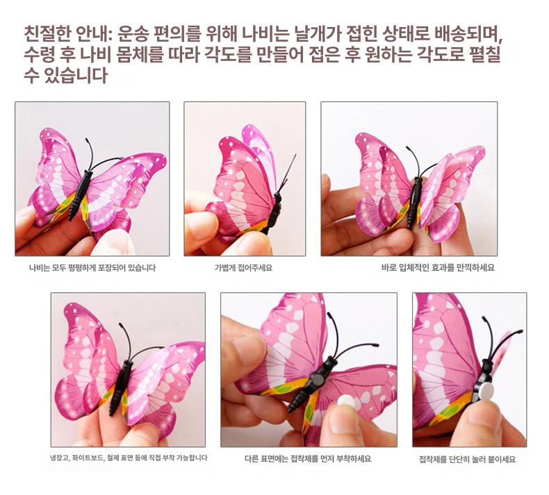 전시 데코 나비 공원 붙이기 곤충 대형 모형 촬영 인테리어 식물원 크다 만들기 마당 표본 혼합색 이중 자석 접착 12개 - 상세 이미지 3