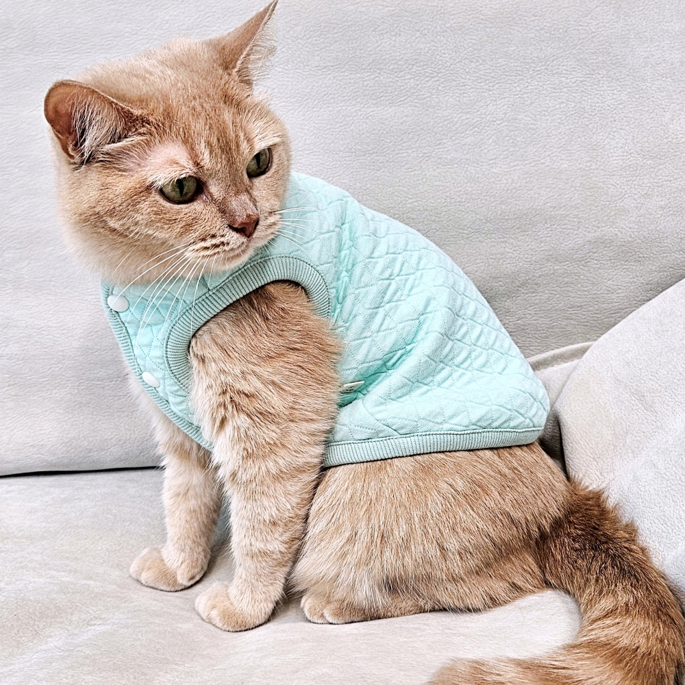 고양이 옷 고양이전용 편한 누빔조끼 마카롱 깔깔이 - 상세 이미지 3