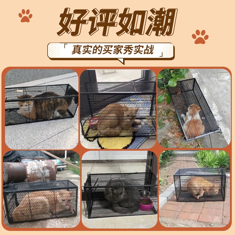 오소리 덫 너구리 퇴치 포획 고양이 방법 트랩 멧돼지 추천대형 2호 고양이 0.5-1.0kg - 상세 이미지 5