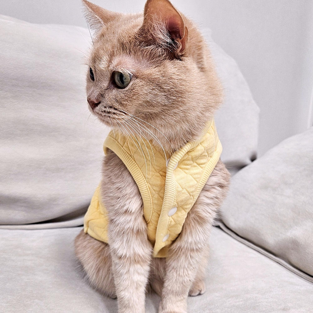 고양이 옷 고양이전용 편한 누빔조끼 마카롱 깔깔이 - 상품 이미지