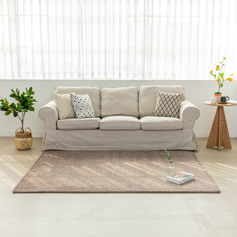 먼지없는 워셔블 장모 온감 러그 대형 거실 침실 원룸 노바 커피브라운, 100x150