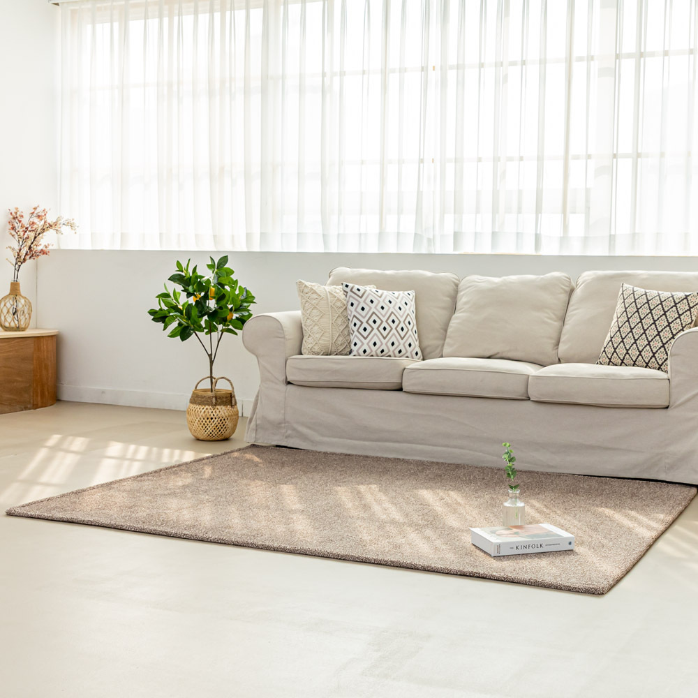 먼지없는 워셔블 장모 온감 러그 대형 거실 침실 원룸 노바 커피브라운, 100x150