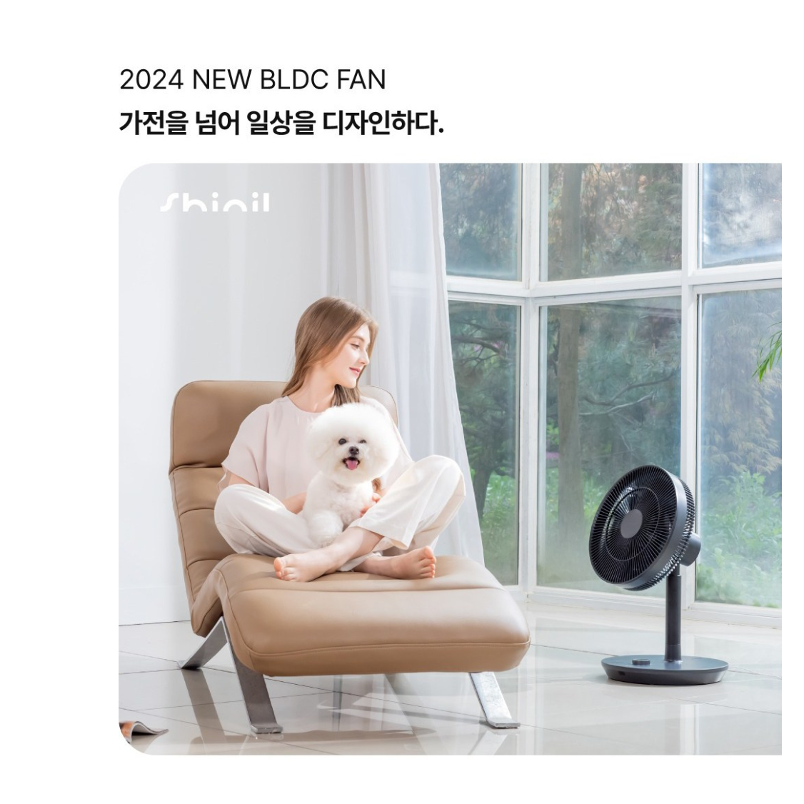 신일 키작은 선풍기 영업용 앉은뱅이 낮은 선풍기 바닥 선풍기 - 상세 이미지 4