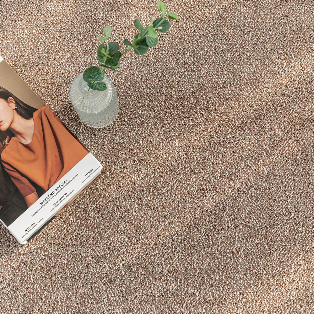 먼지없는 워셔블 장모 온감 러그 대형 거실 침실 원룸 노바 커피브라운, 100x150