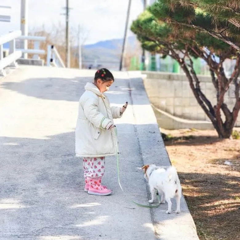 [동물체험농장] 어린이 동물 농장 숲 농촌 체험 경기 여주 유아 어린이 가족체험학습 by 주주팜 - 상세 이미지 4