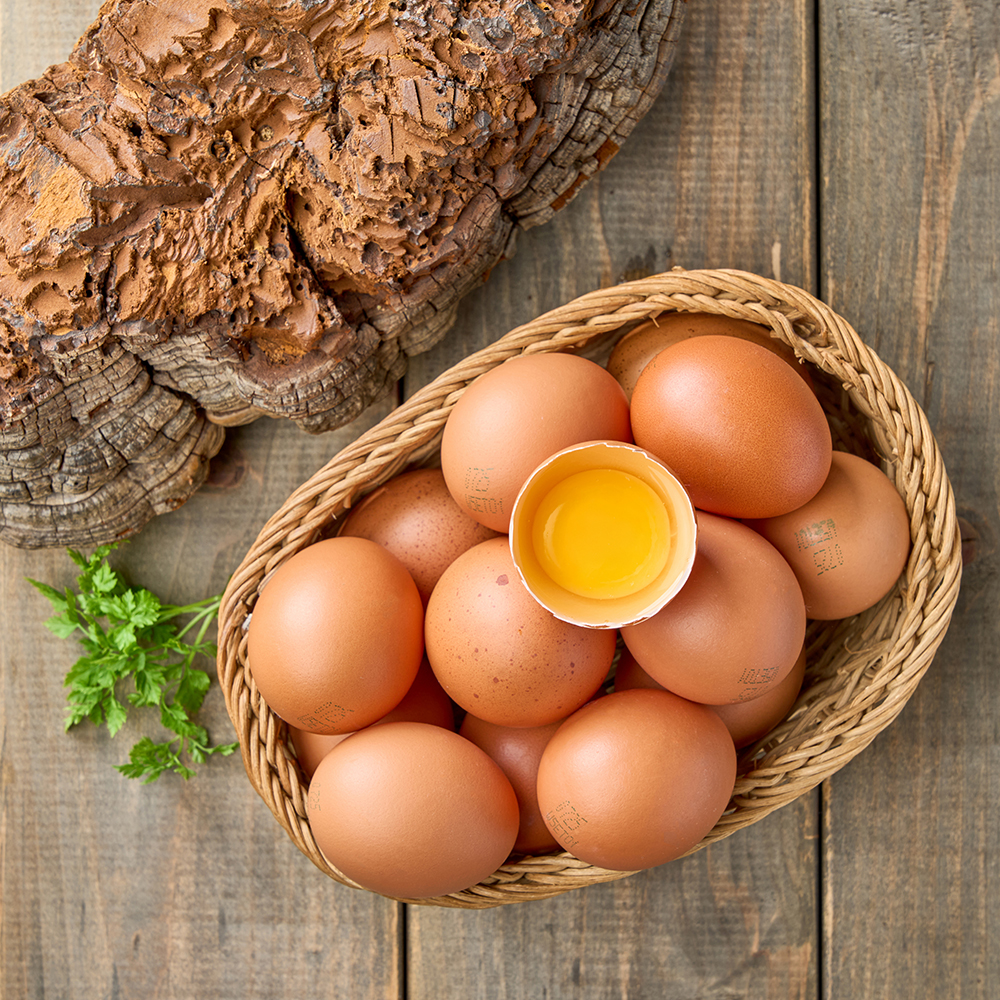 [품질보장] 난각번호1번 상황버섯 먹여 키운 무항생제 계란 유정란 자연방사 HACCP 40구, 1개