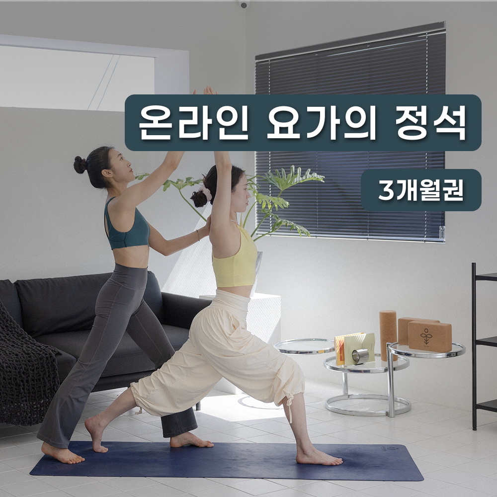 루트인 요가 3개월 수강권 초보 새벽 임산부 저녁 아침 주말 줌 홈트 갱년기 온라인요가 - 상품 이미지