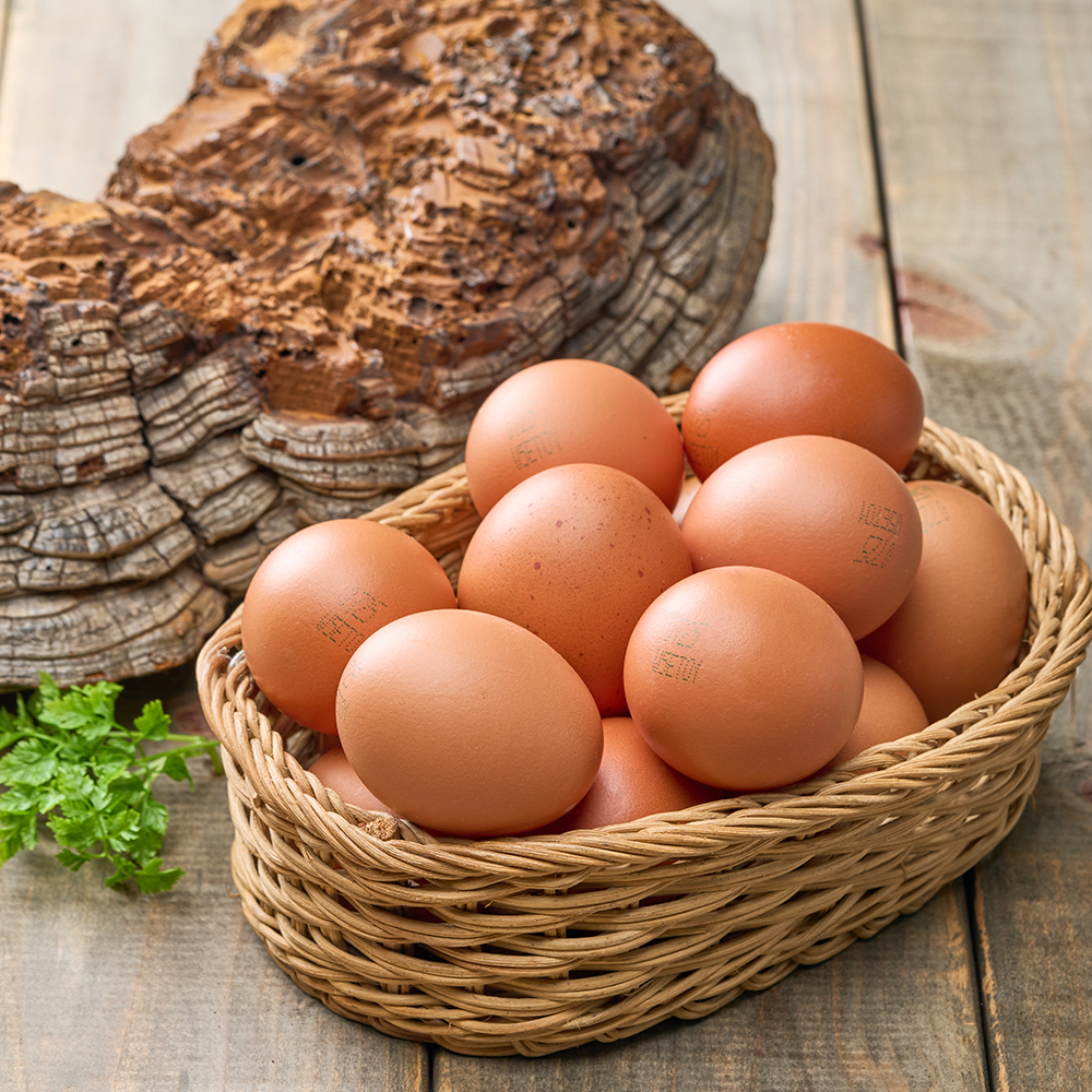 [품질보장] 난각번호1번 상황버섯 먹여 키운 무항생제 계란 유정란 자연방사 HACCP 40구, 1개